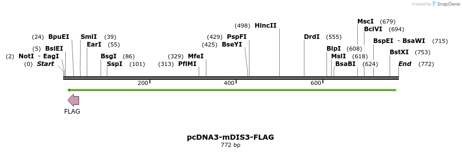 99700_map