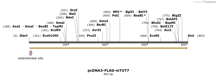 99702_map