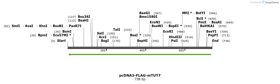99703_map