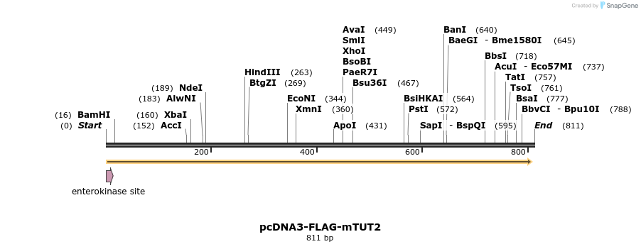99706_map