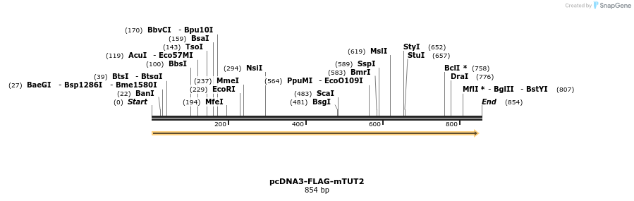 99709_map