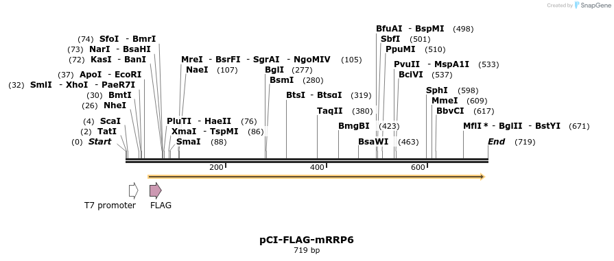 99715_map