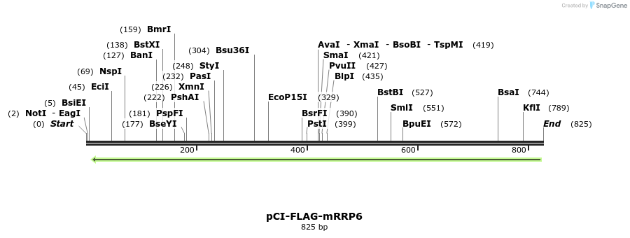 99716_map