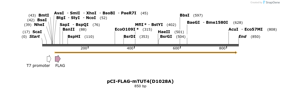 99717_map