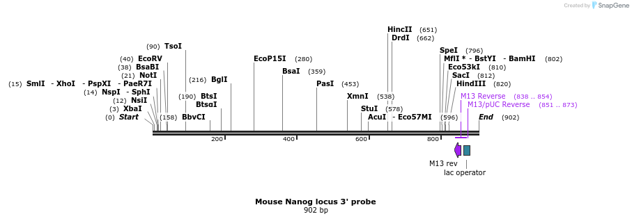 99719_map