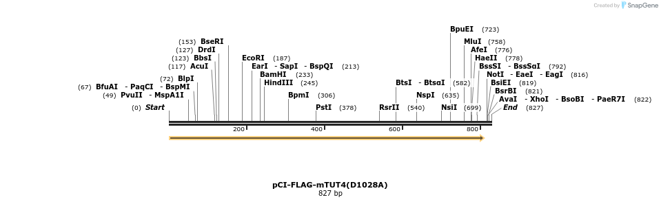 99720_map
