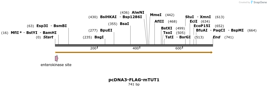 99726_map