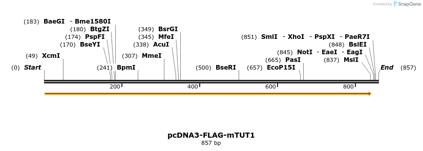 99728_map