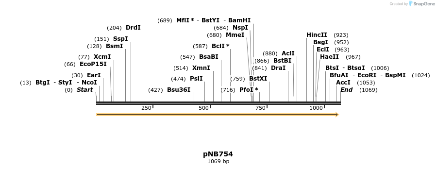 99729_map