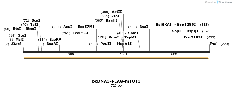 99730_map