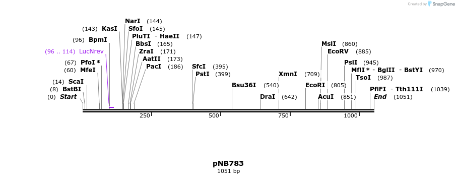 99731_map