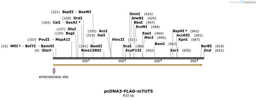 99732_map