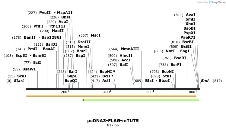 99733_map