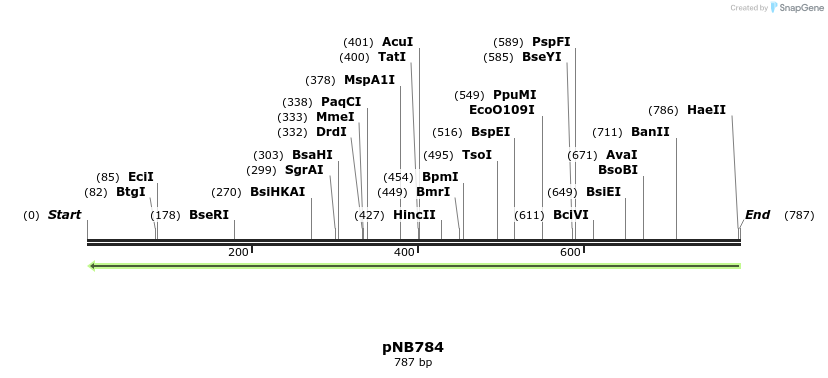 99735_map