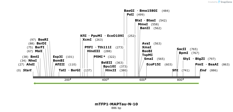 99740_map