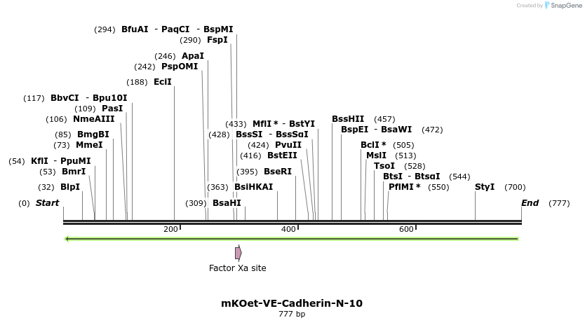 99743_map