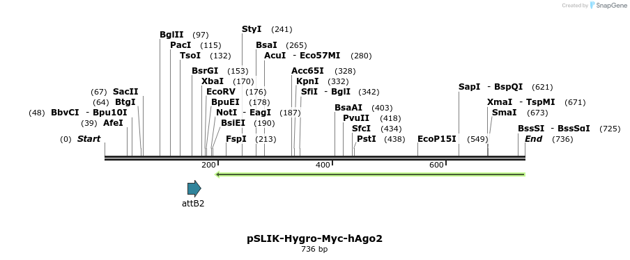 99744_map