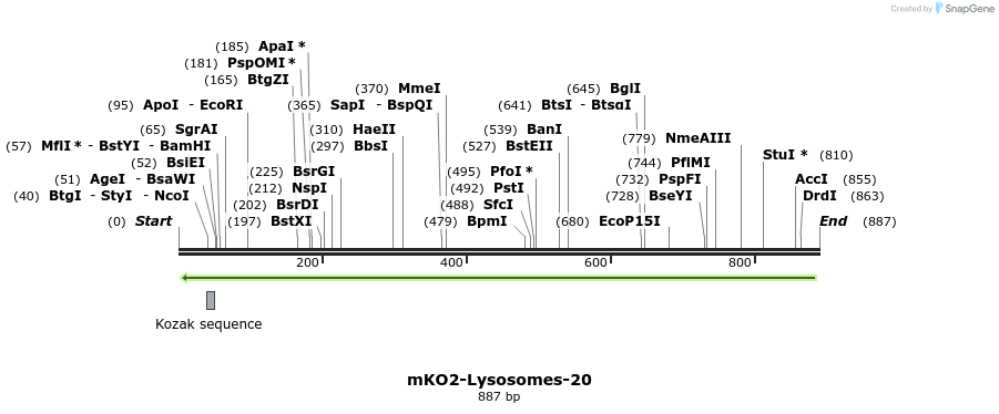 99745_map