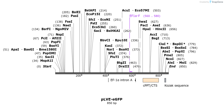 99753_map