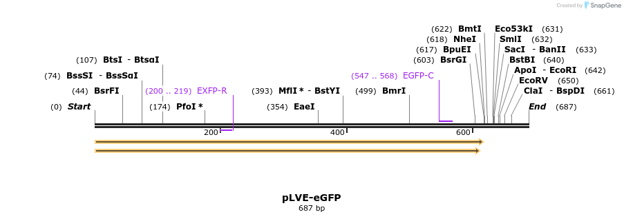 99756_map