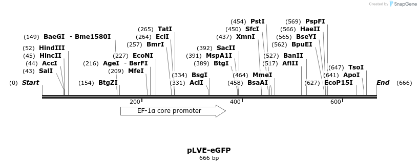 99757_map