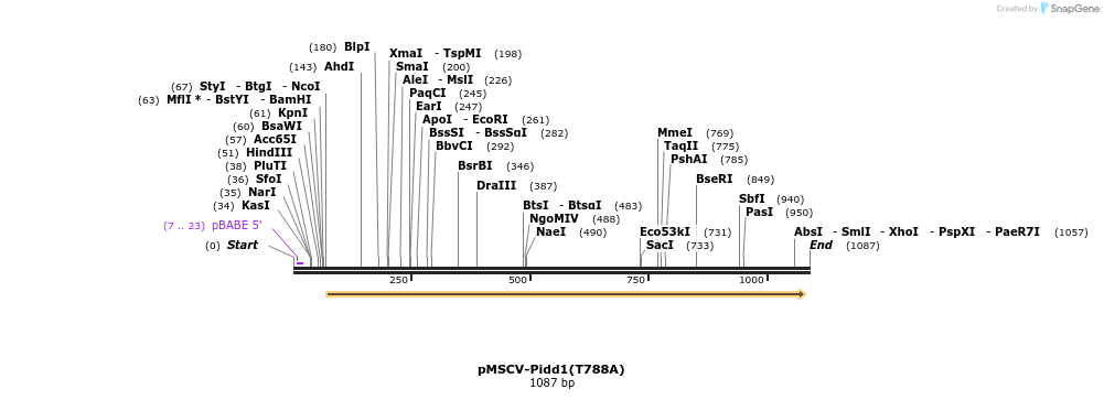 99764_map