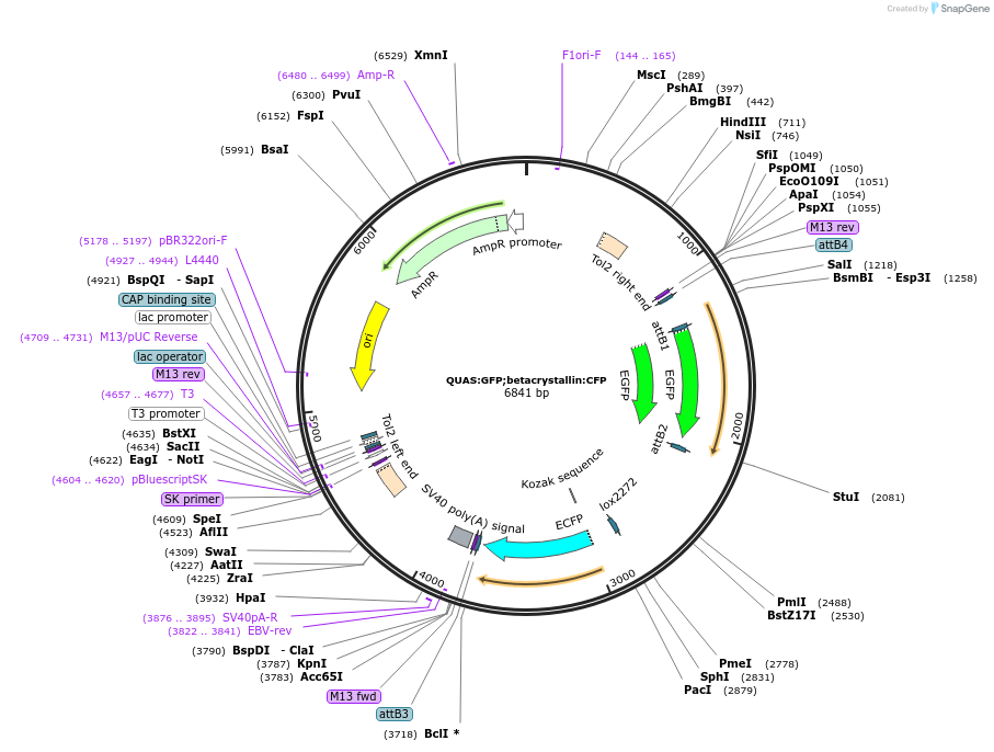 99769_map