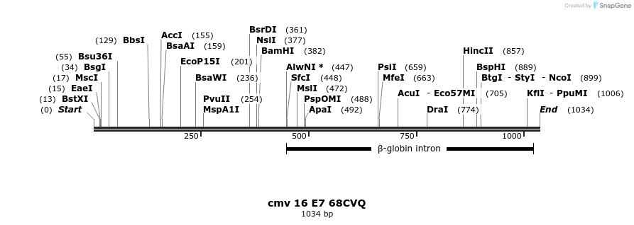 99774_map