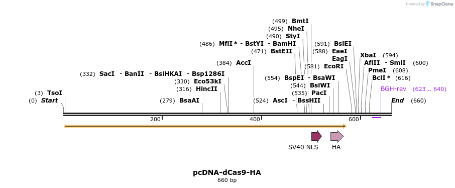 99775_map