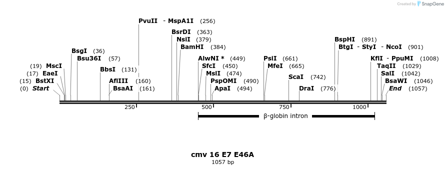 99777_map