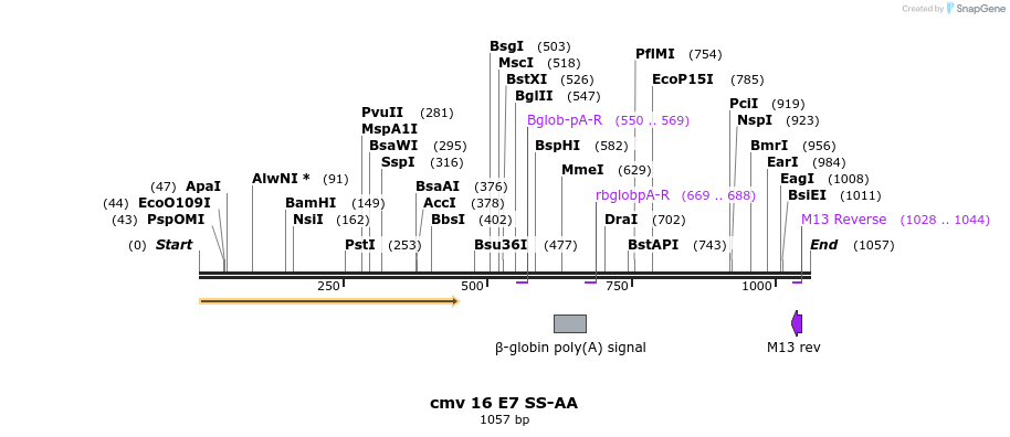 99778_map