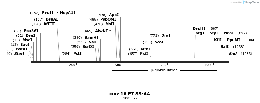 99779_map