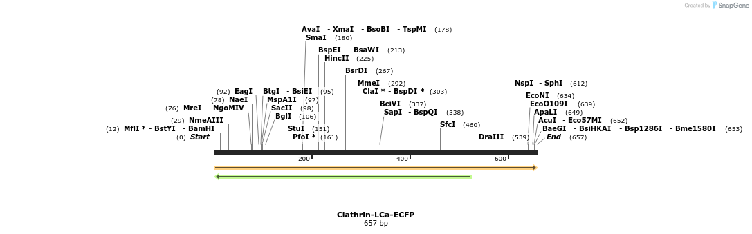 9978_map