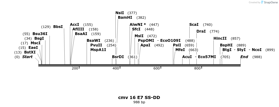 99782_map