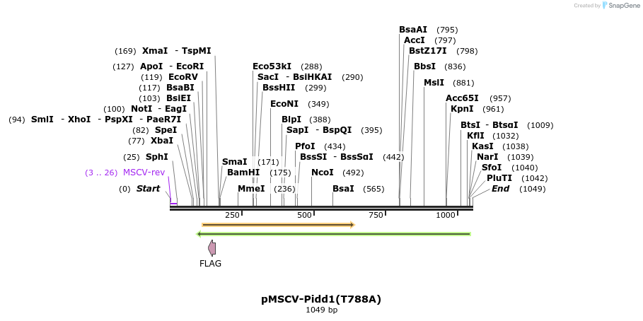 99790_map
