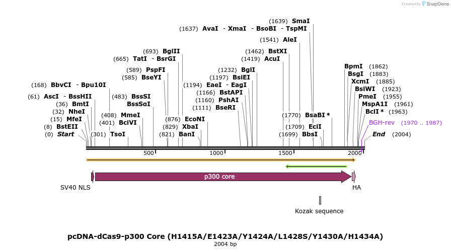 99799_map