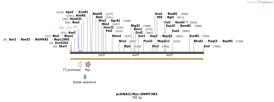 99804_map