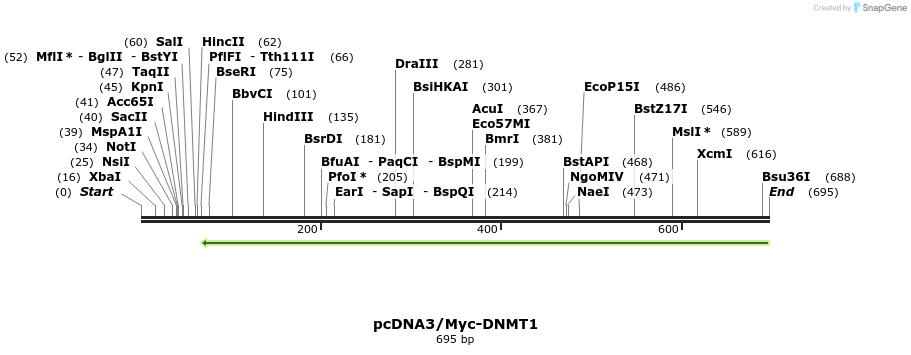 99807_map