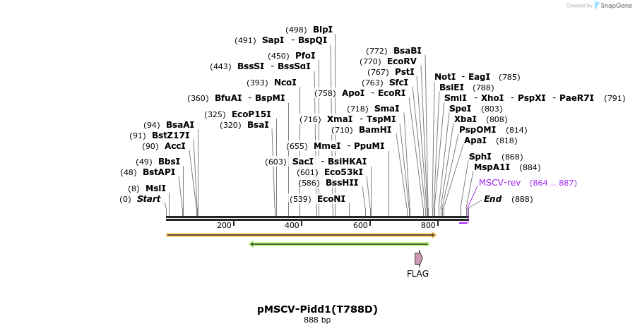 99815_map