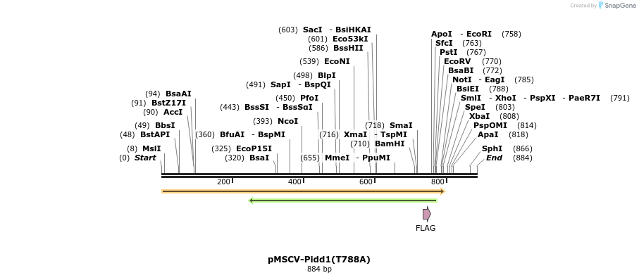 99816_map