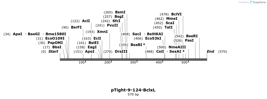 99824_map