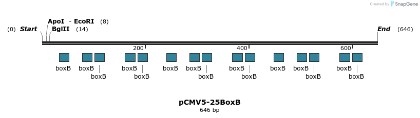 99828_map
