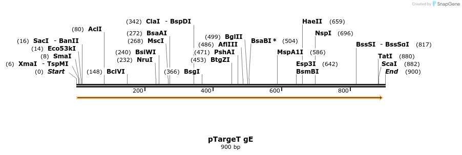99831_map