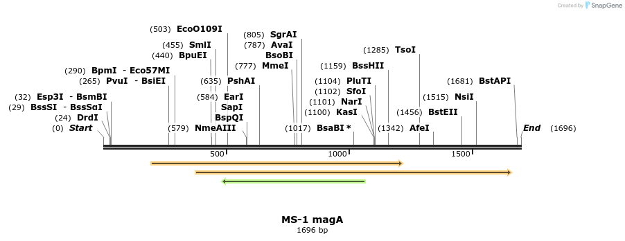 9984_map