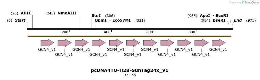 99841_map