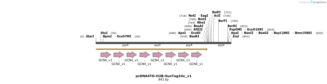 99842_map