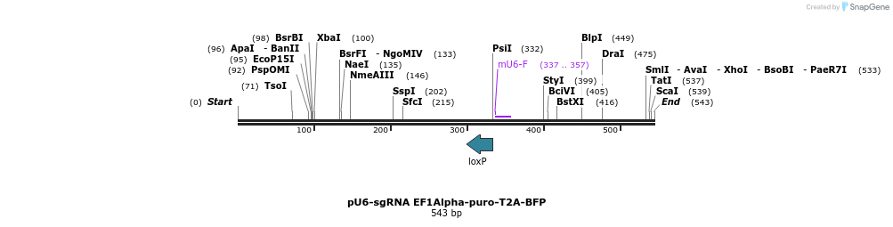 99844_map