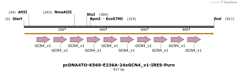 99846_map