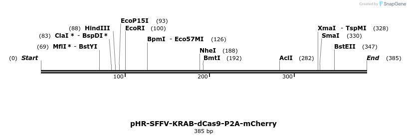 99848_map