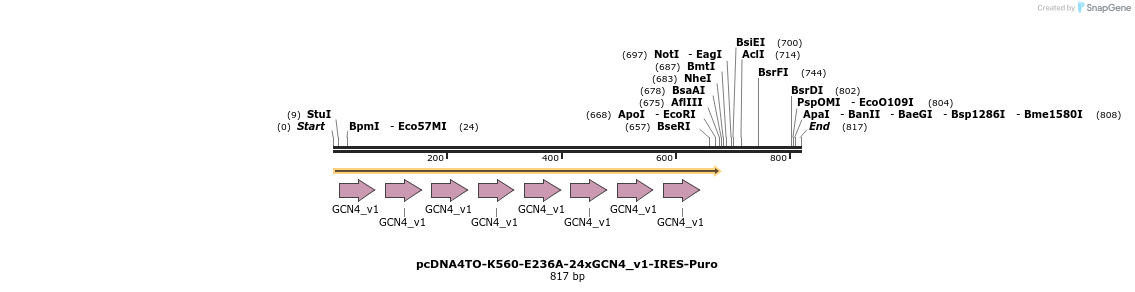 99850_map
